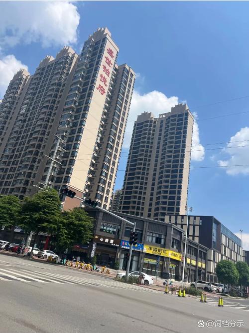 从贵港到全国 1994年始的集团发展之路与多元产业布局